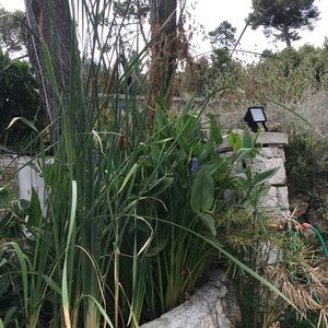 Meet your Posher, Talia